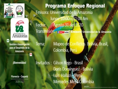 Live discute mapeamento de conflitos na Pan-Amazônia