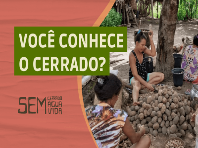 Você conhece o Cerrado?