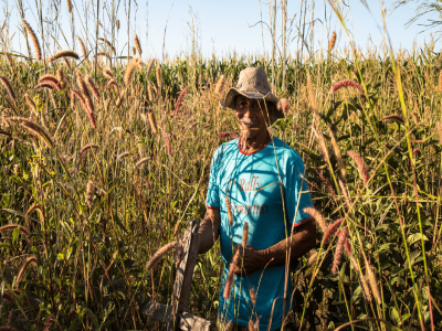Articulação de comunidades, organizações e movimentos do Cerrado se reúne com fórum fundiário de corregedores