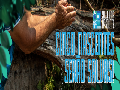 Cinco nascentes serão salvas no Cerrado